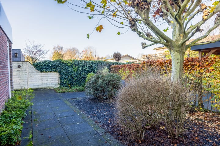 Photo 43 of Violier 3