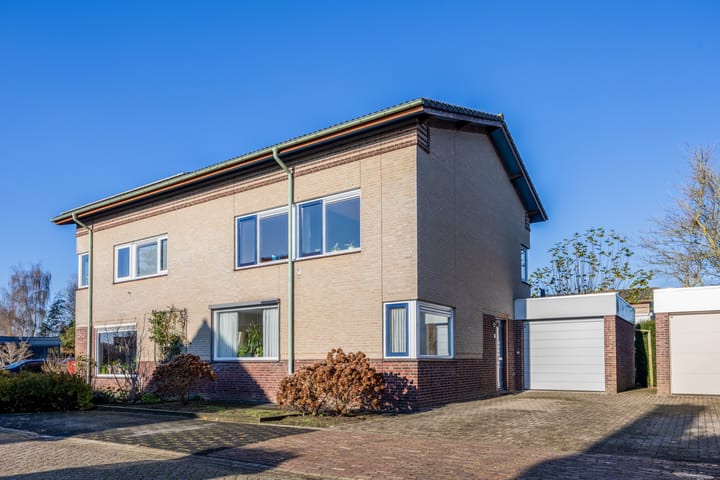 Photo 44 of Violier 3