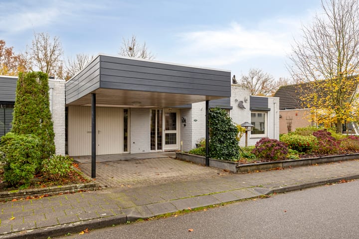 Foto 3 van Zesakkers 2015