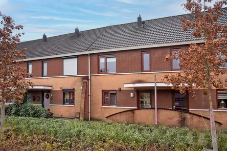 undefined main image