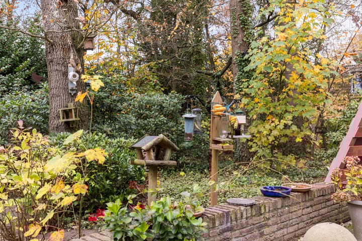 Foto 34 van Emslandweg 1-028