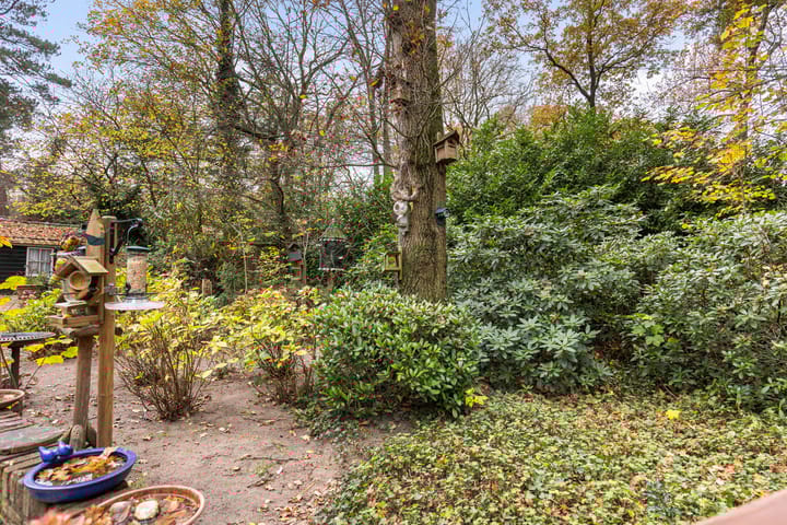 Foto 35 van Emslandweg 1-028