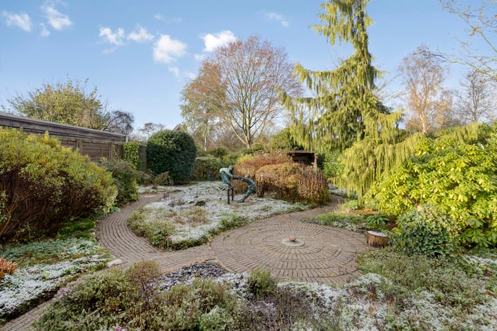 Photo 34 of Winkelmaad 37