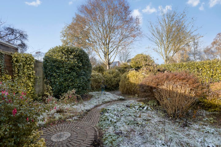 Photo 35 of Winkelmaad 37