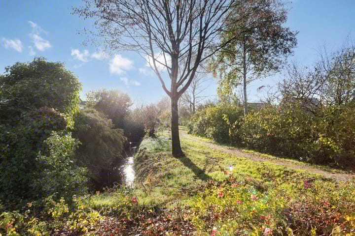 Photo 41 of Winkelmaad 37