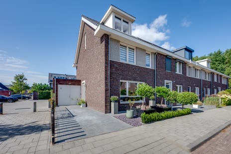 Wilgenroos thumbnail