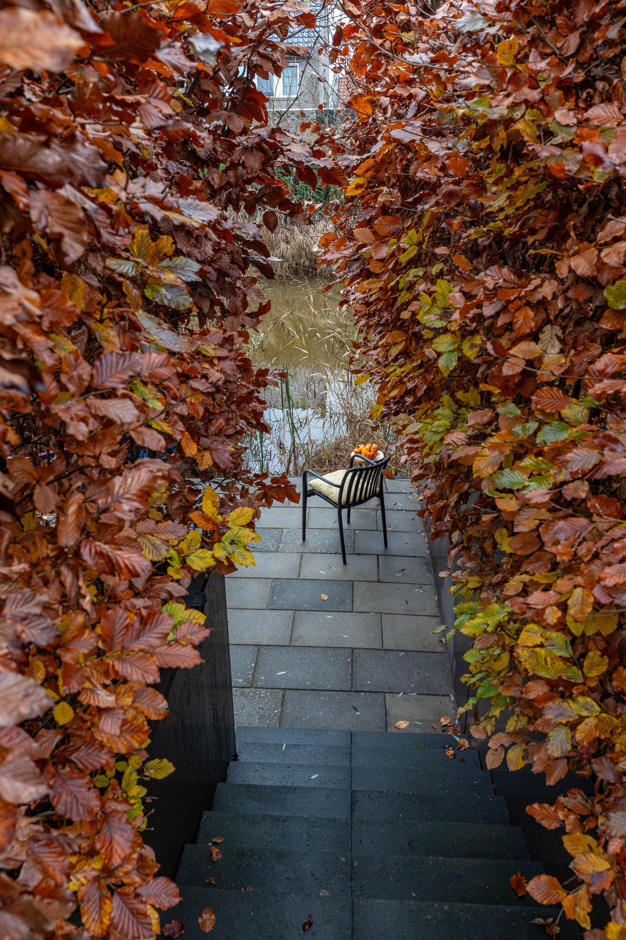 Photo 60 of Meeroeverslaan 211