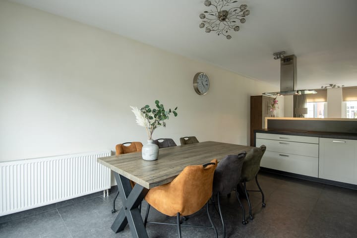 Foto 7 van Knoopkruid 11