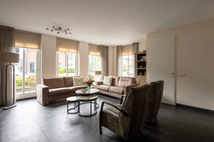 Foto 11 van Knoopkruid 11