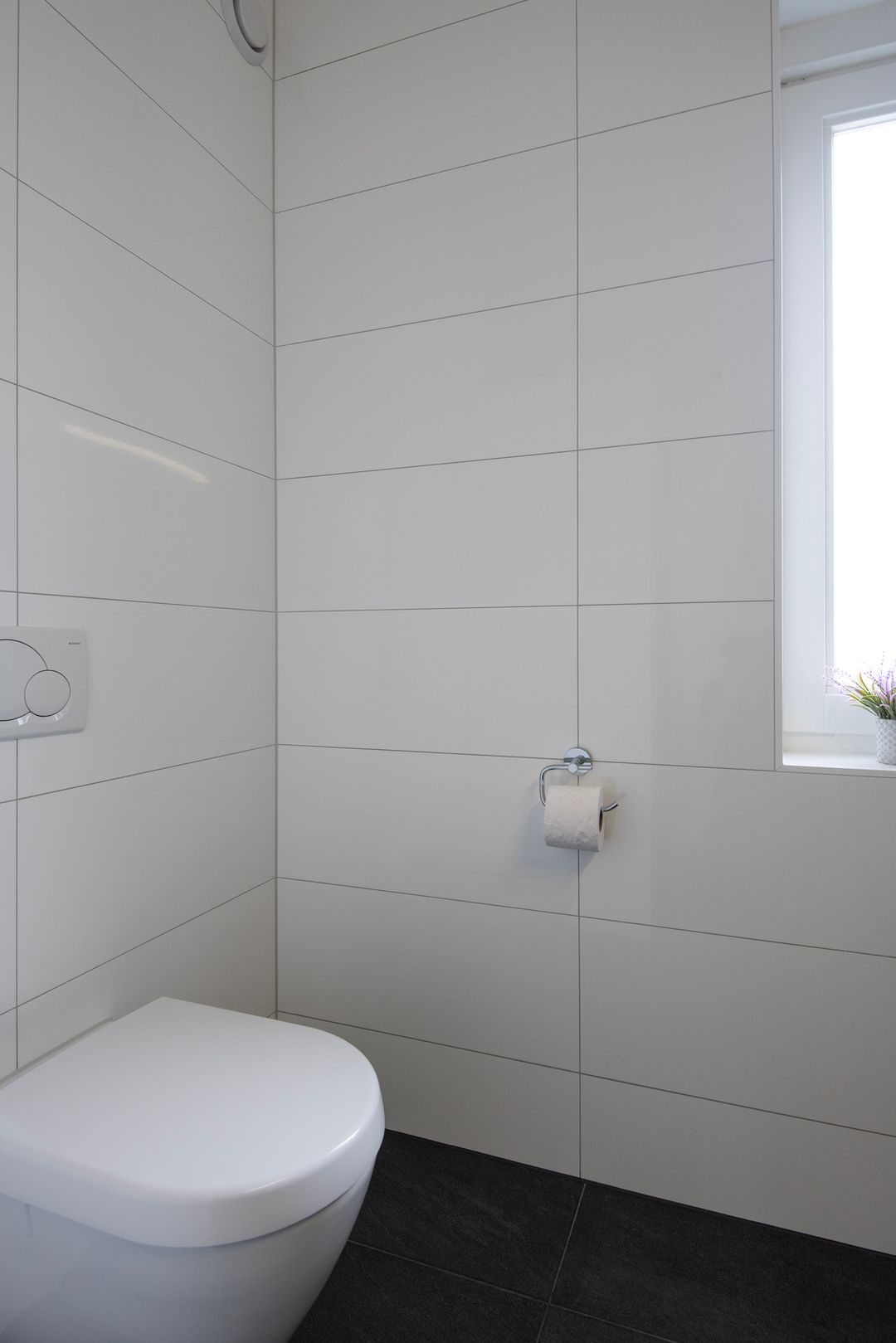 Foto 26 van Knoopkruid 11