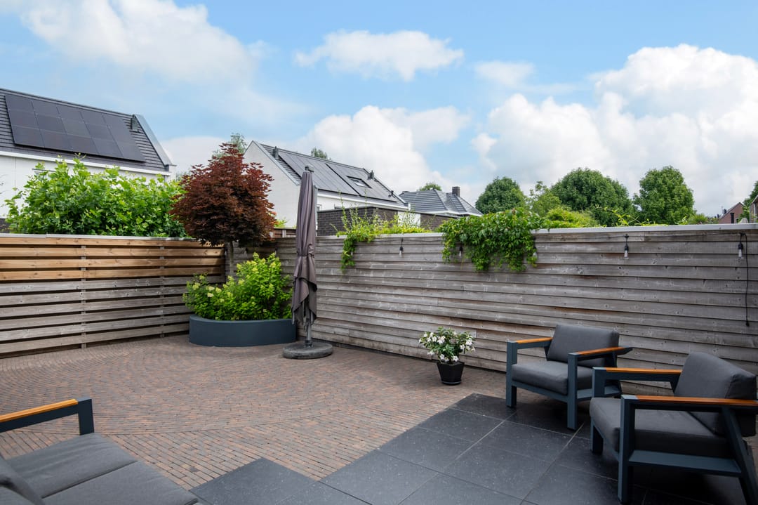 Foto 31 van Knoopkruid 11