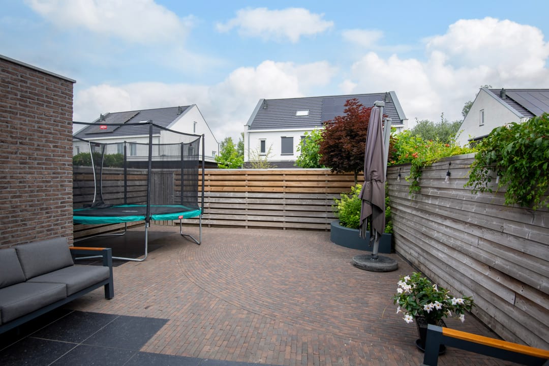 Foto 32 van Knoopkruid 11