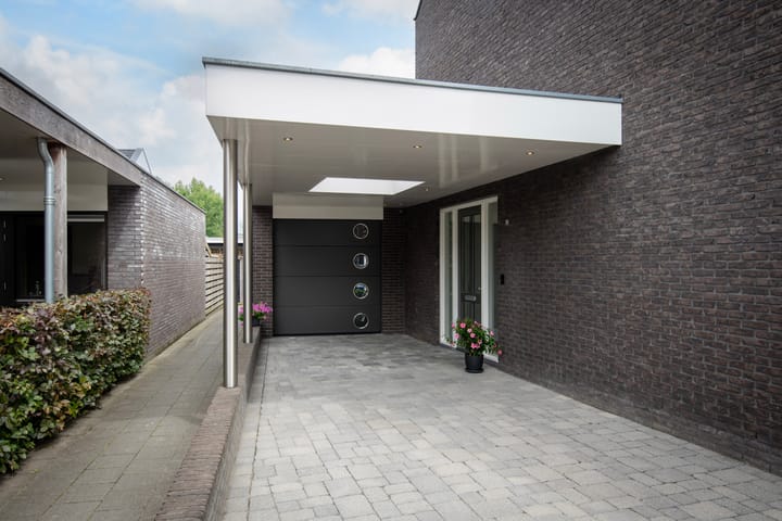 Foto 33 van Knoopkruid 11