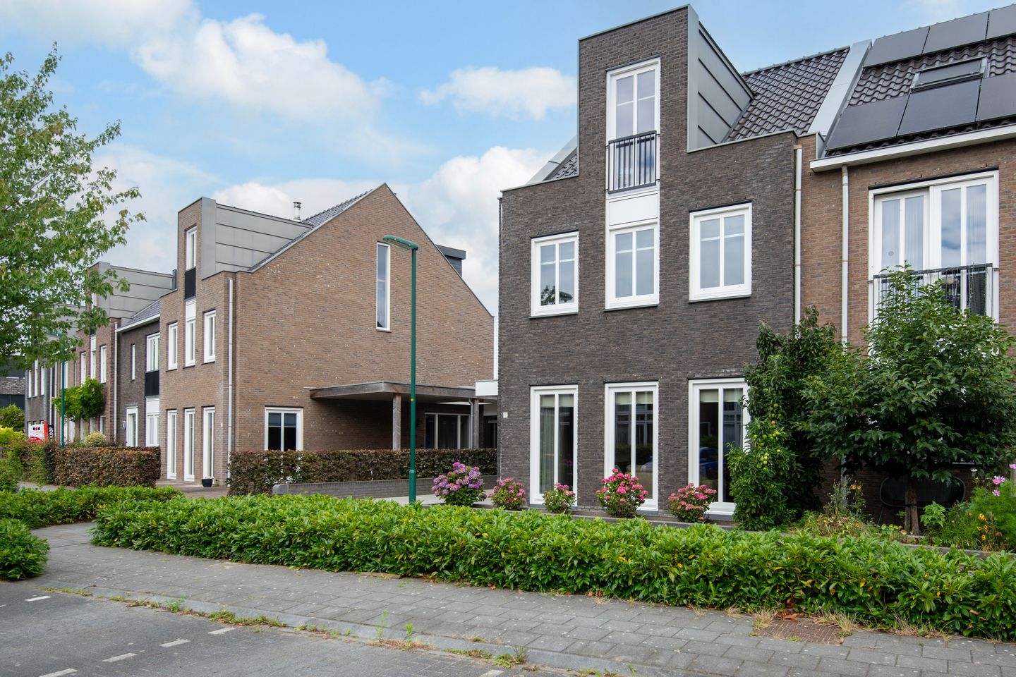 Foto 34 van Knoopkruid 11