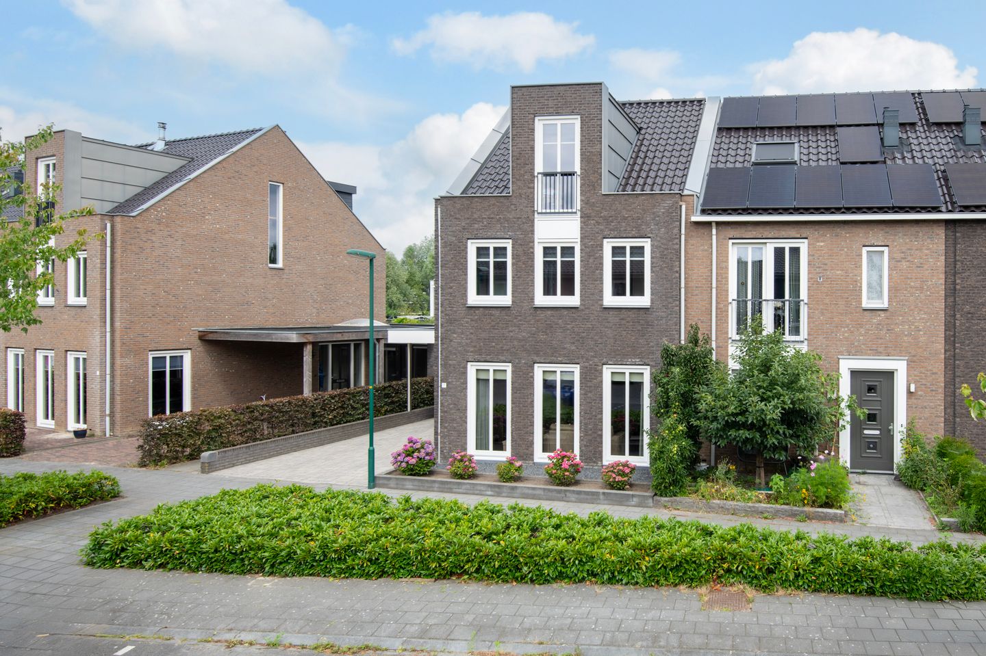 Foto 35 van Knoopkruid 11