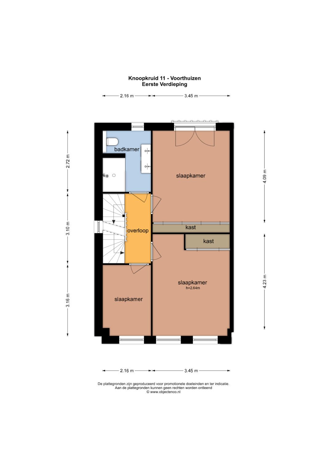 Foto 36 van Knoopkruid 11