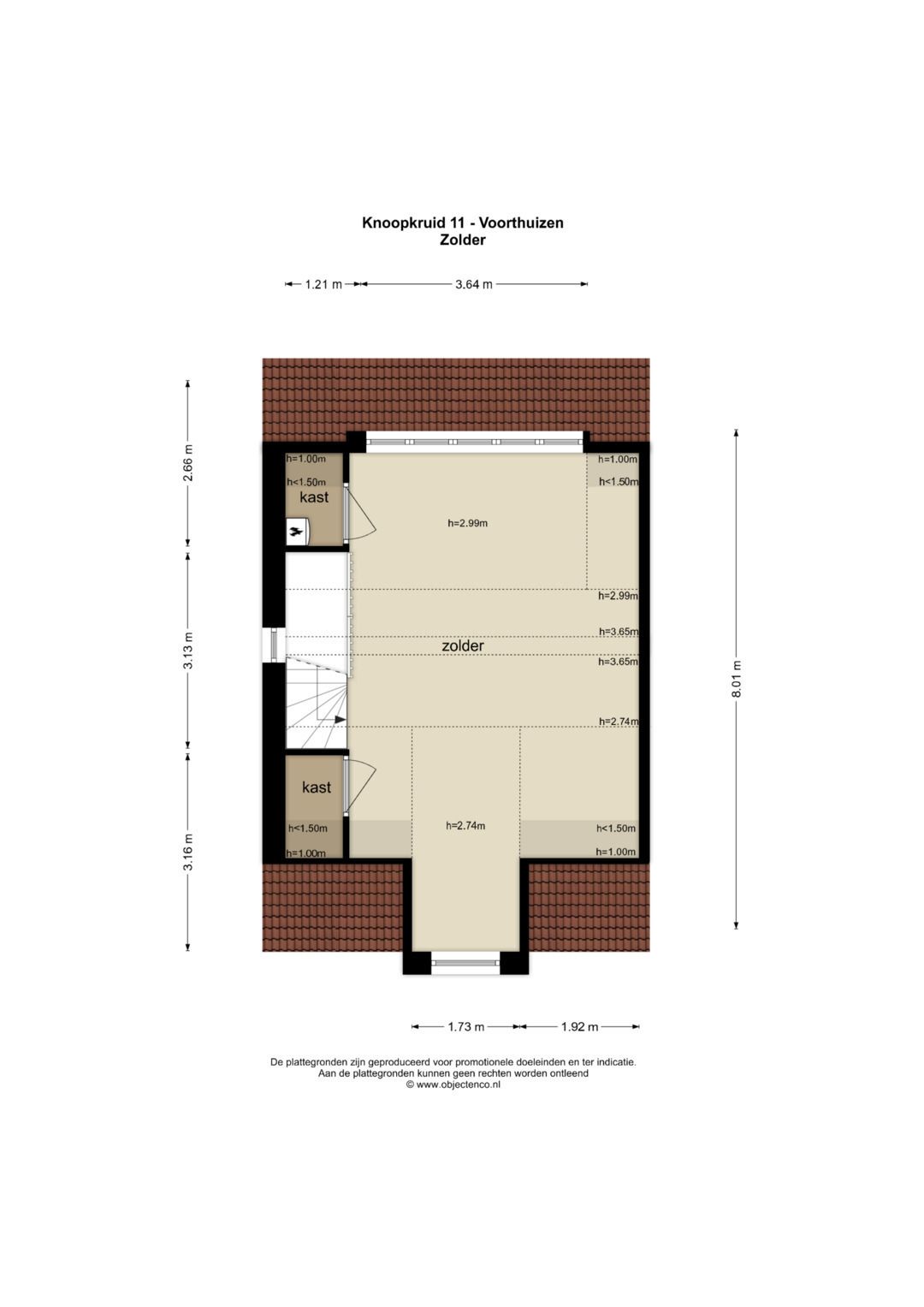 Foto 37 van Knoopkruid 11