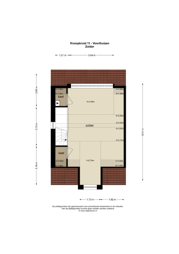 Foto 37 van Knoopkruid 11