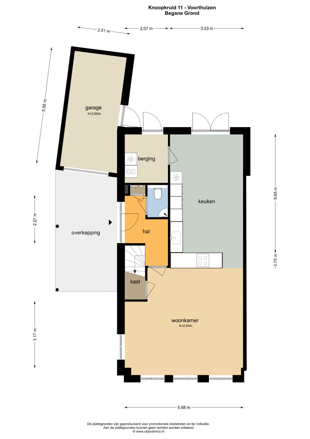 Foto 38 van Knoopkruid 11