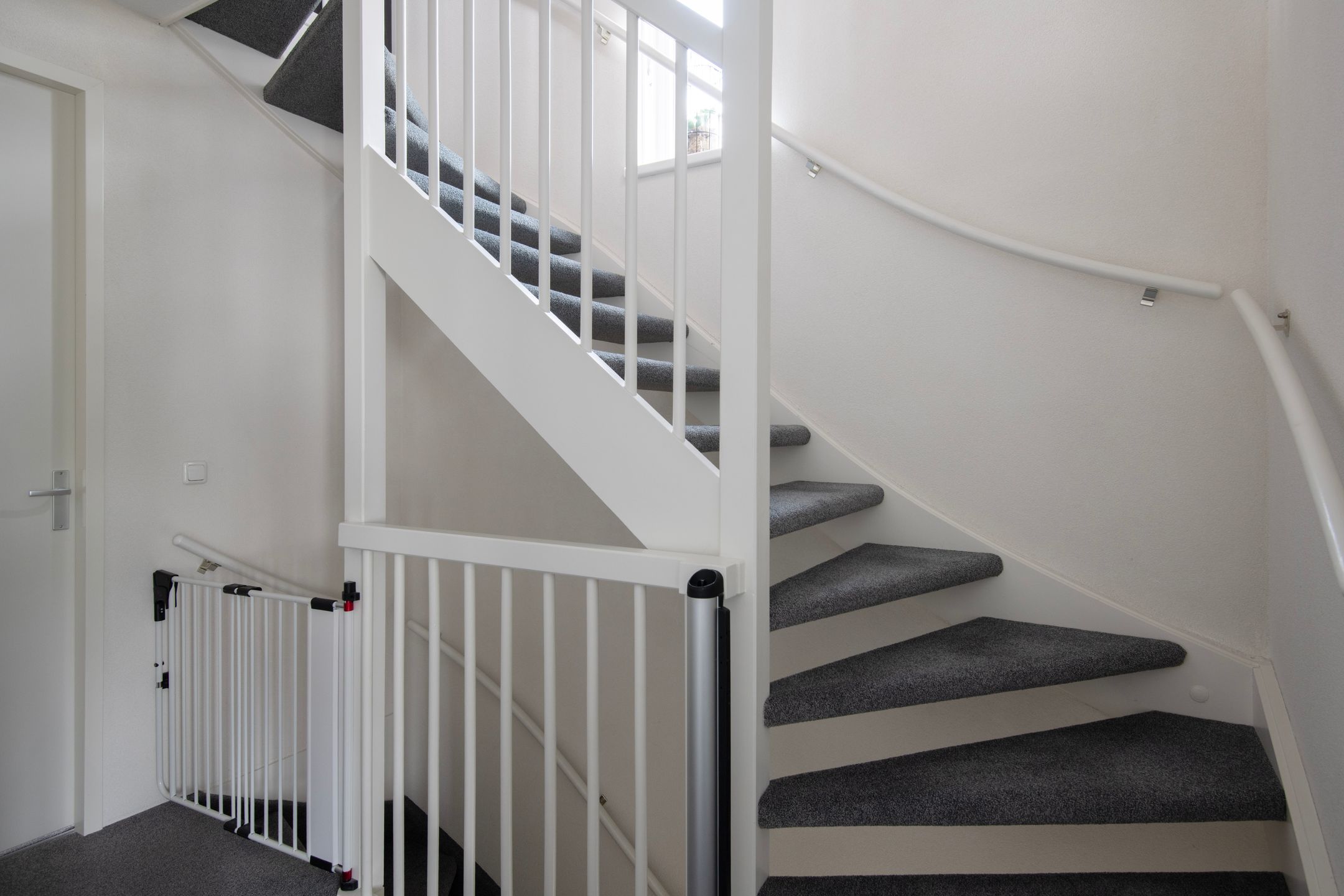 Foto 27 van Knoopkruid 11