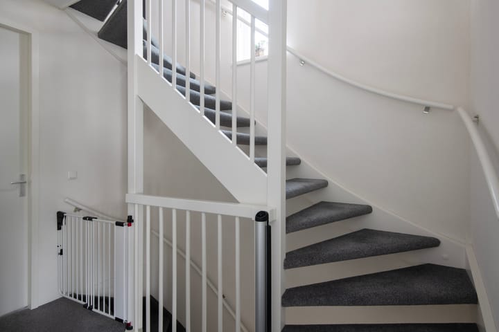 Foto 27 van Knoopkruid 11