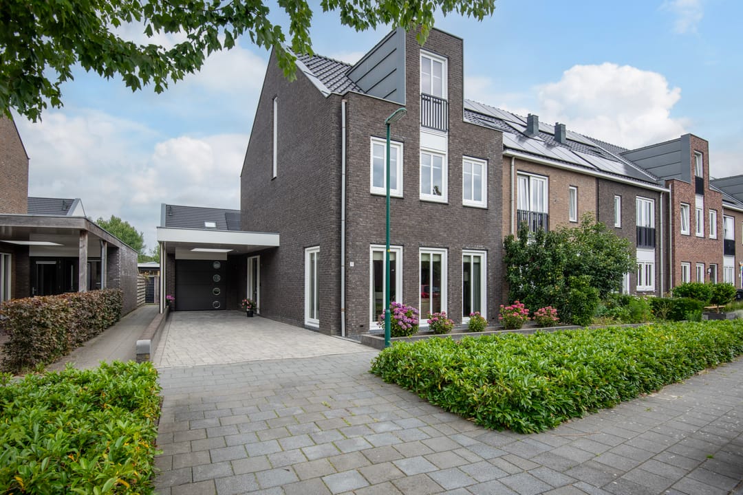 Foto 1 van Knoopkruid 11