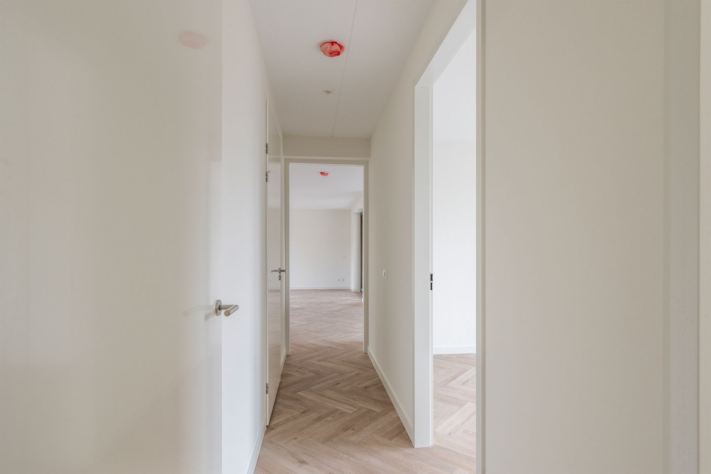 Photo 5 of Oranjeboomstraat 4-S