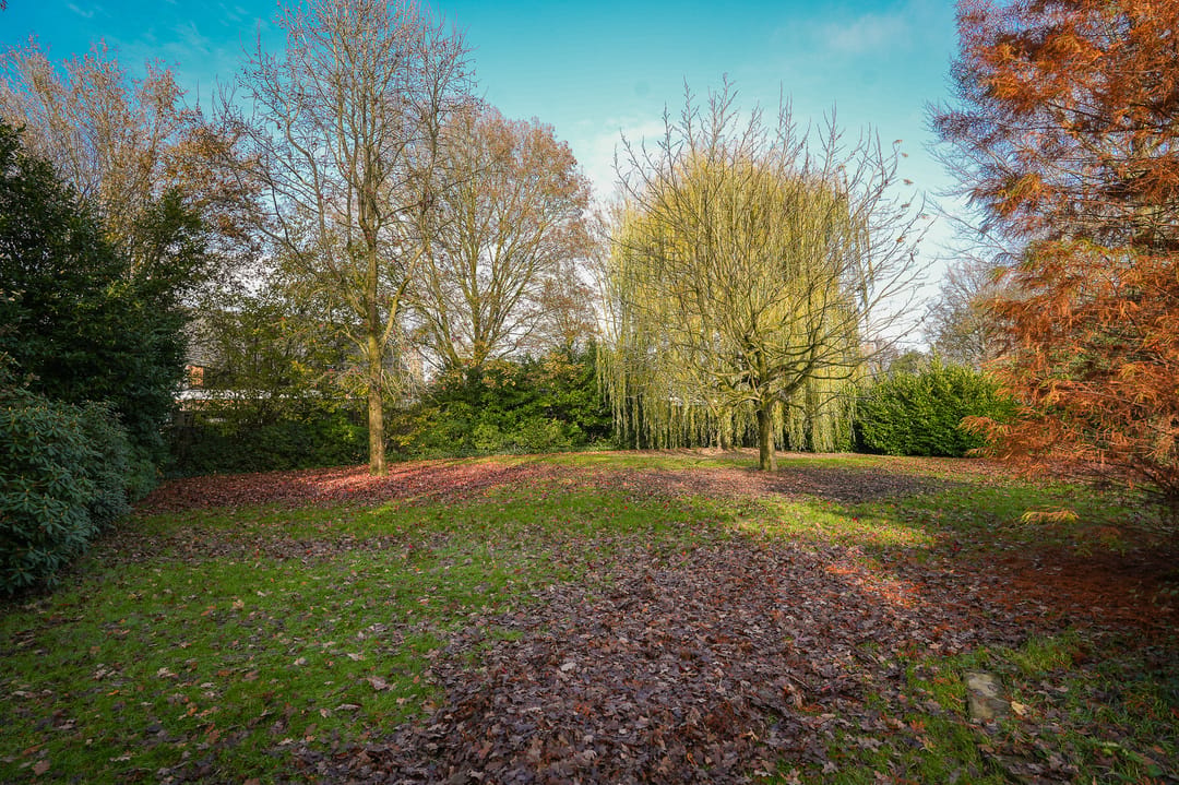 Photo 47 of Oude Rijksweg 6