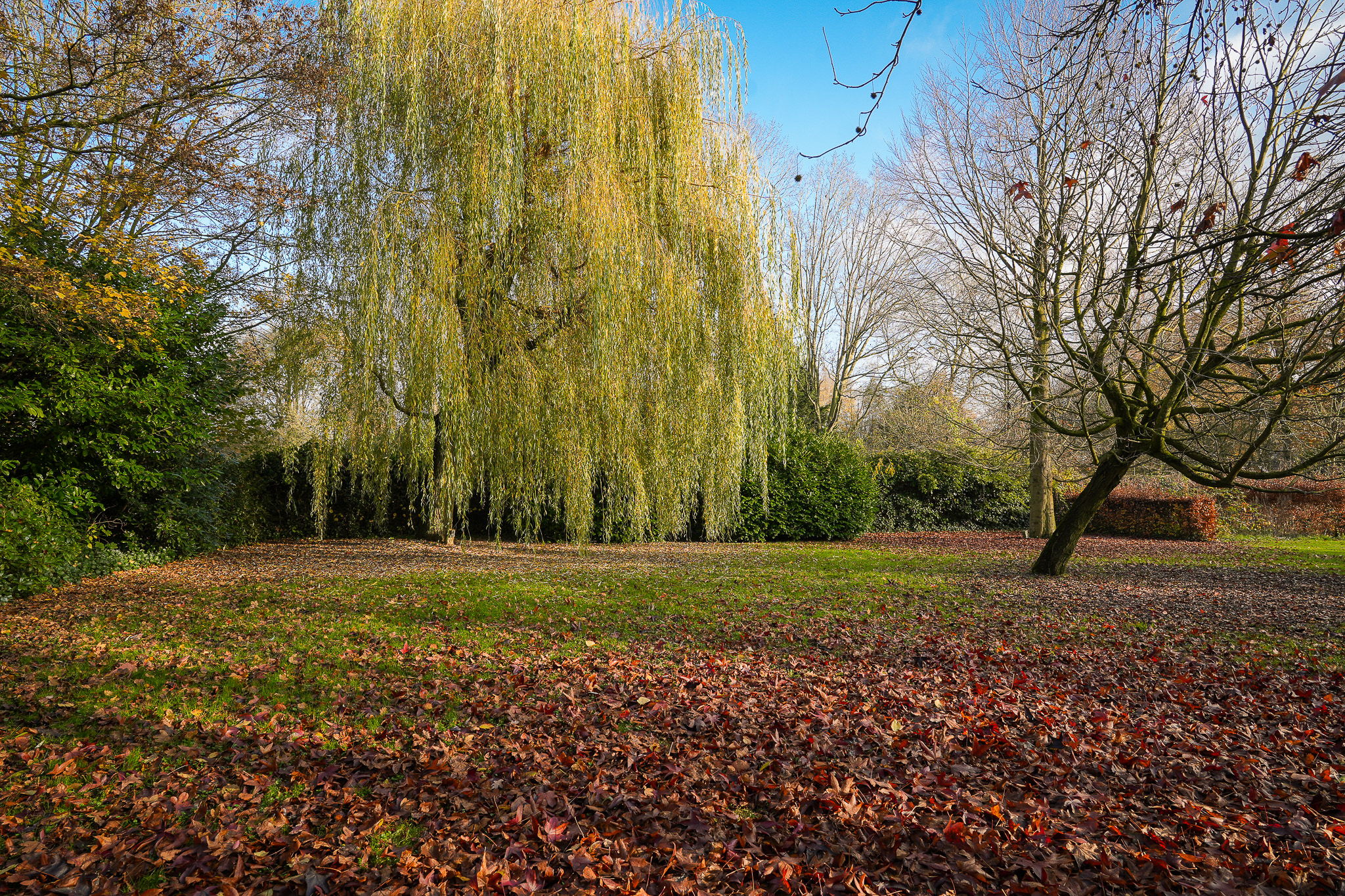 Photo 48 of Oude Rijksweg 6
