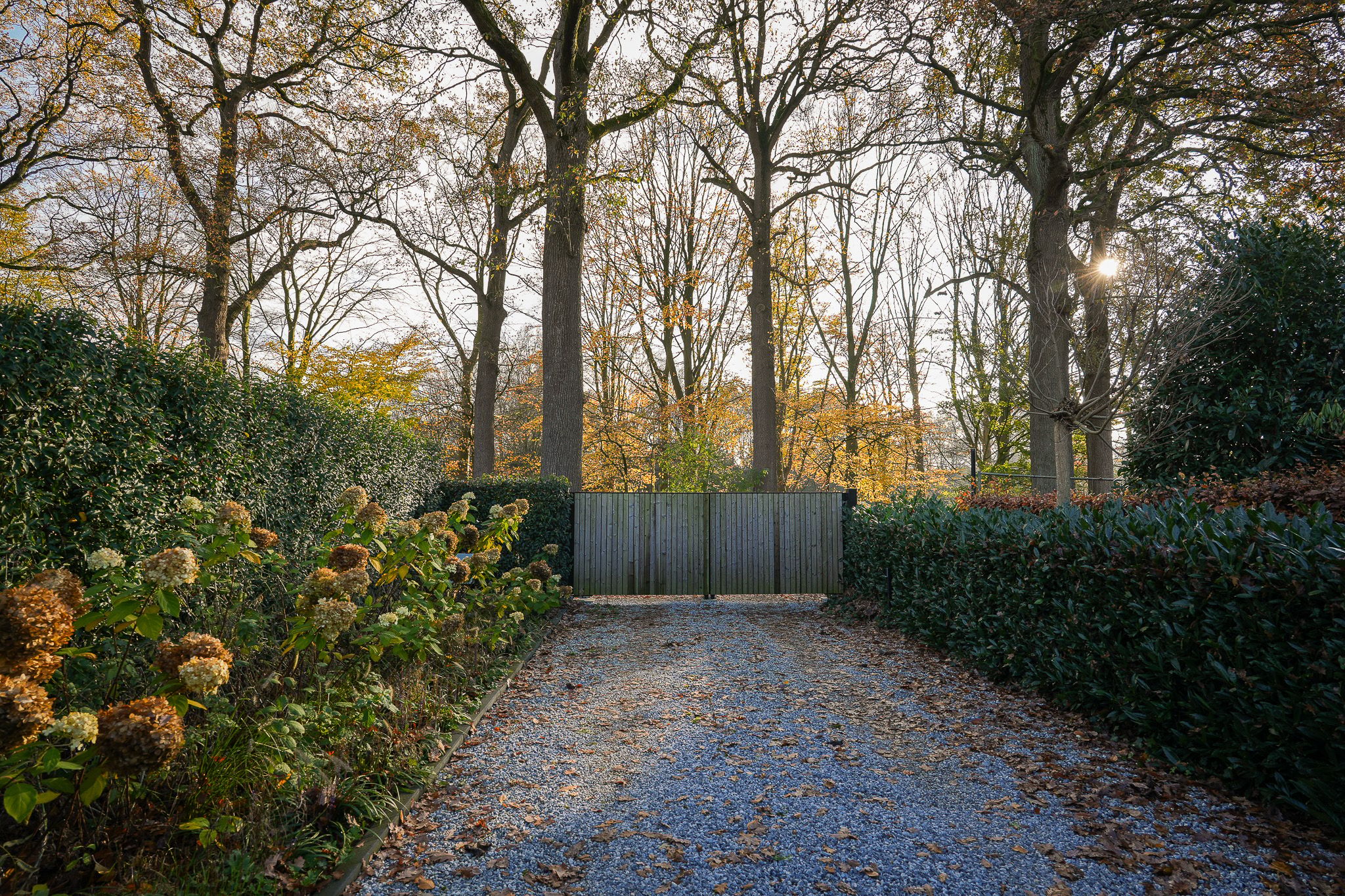 Photo 54 of Oude Rijksweg 6