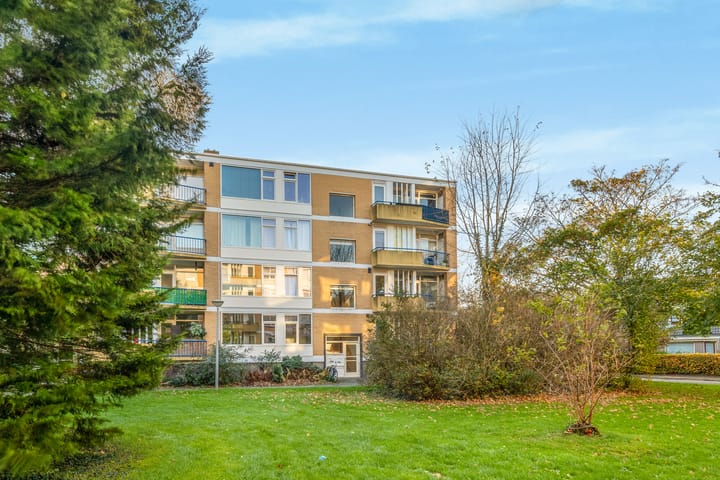 Van Ostadelaan 84 main image