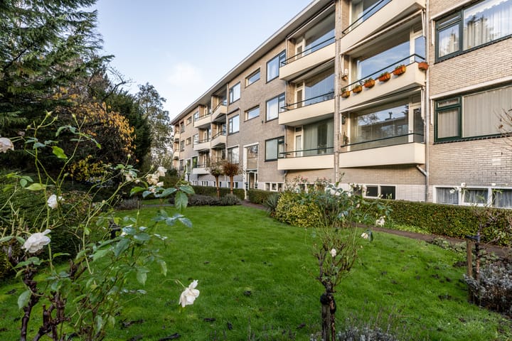 Foto 27 van Laurens Reaellaan 26-II