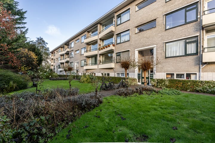 Foto 29 van Laurens Reaellaan 26-II