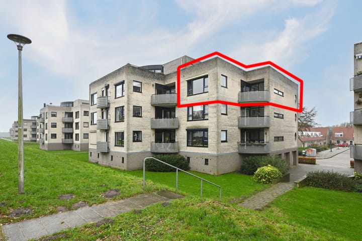 Sterrekruid 69 main image