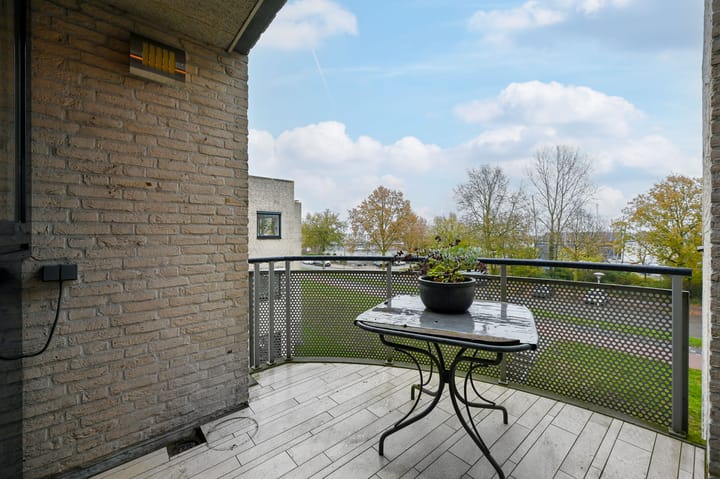 Foto 2 van Sterrekruid 69