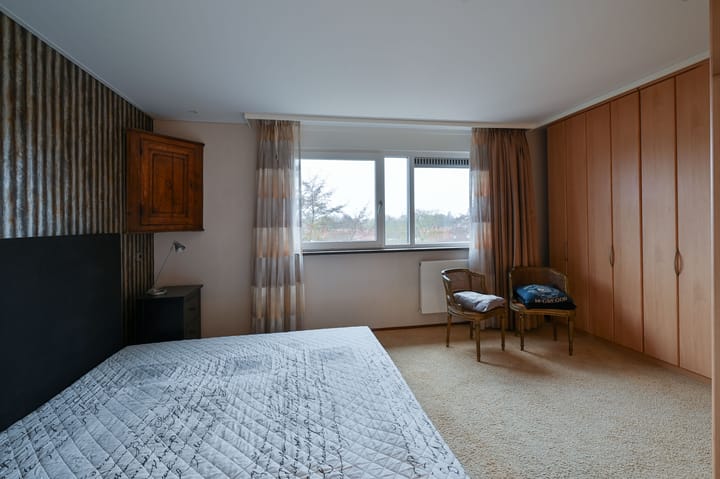 Foto 12 van Sterrekruid 69