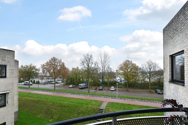 Foto 19 van Sterrekruid 69