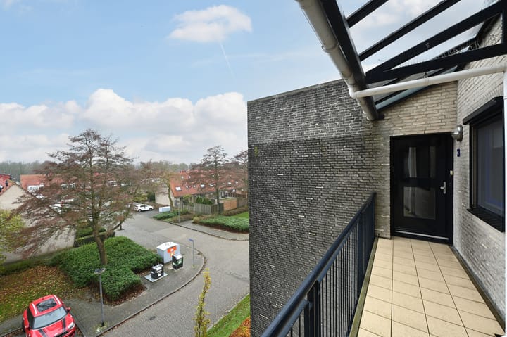 Foto 20 van Sterrekruid 69