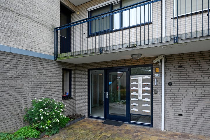 Foto 21 van Sterrekruid 69