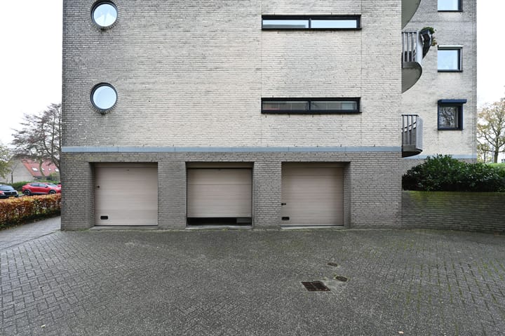 Foto 23 van Sterrekruid 69