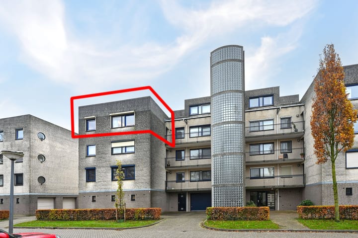 Foto 24 van Sterrekruid 69