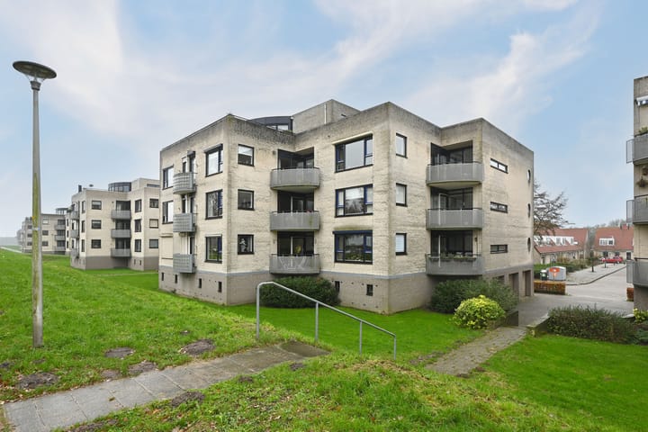 Foto 26 van Sterrekruid 69