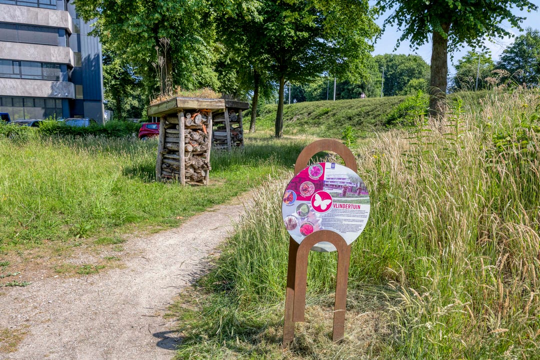 Photo 26 of Westpoint 22