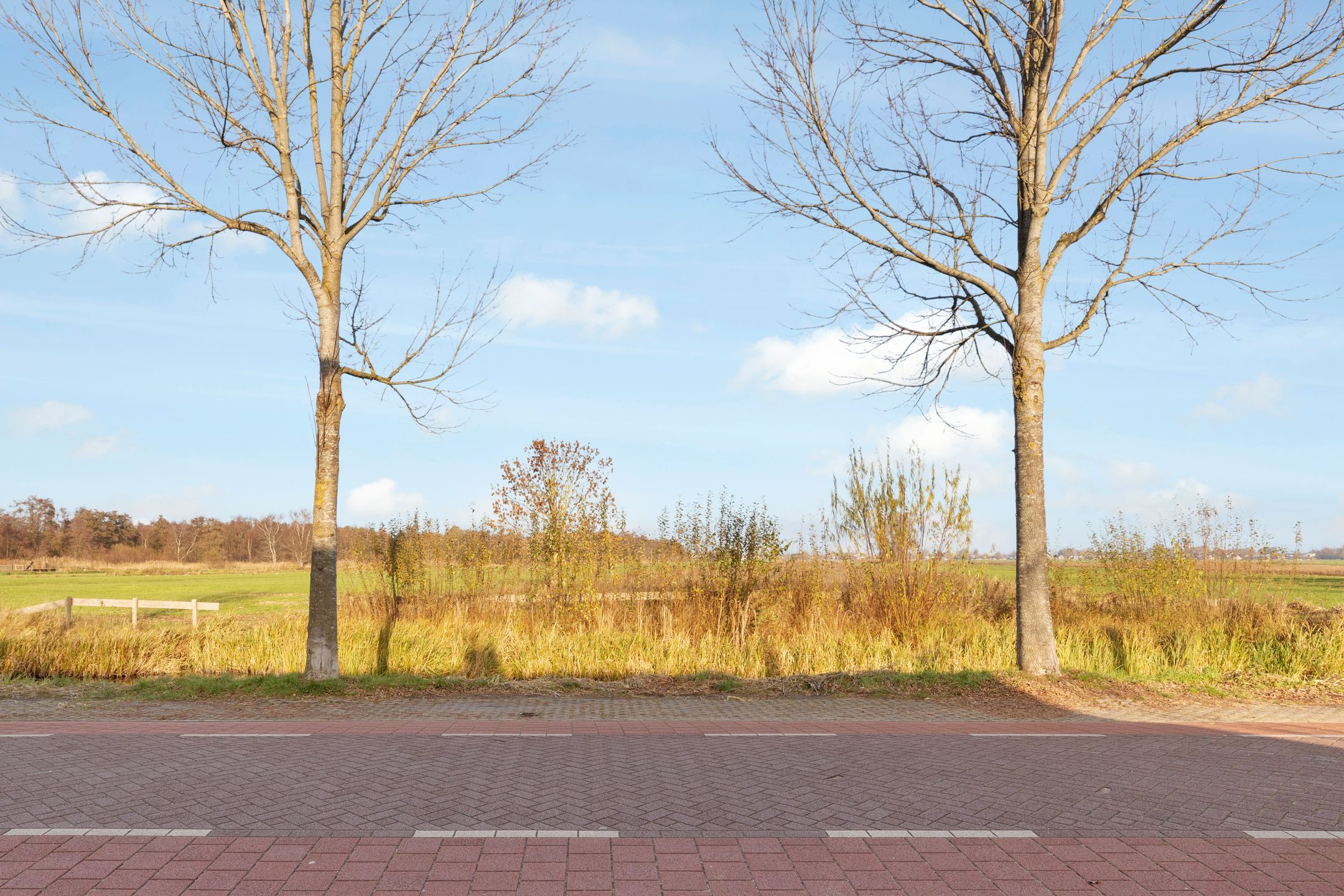 Photo 42 of Westbroekse Binnenweg 78