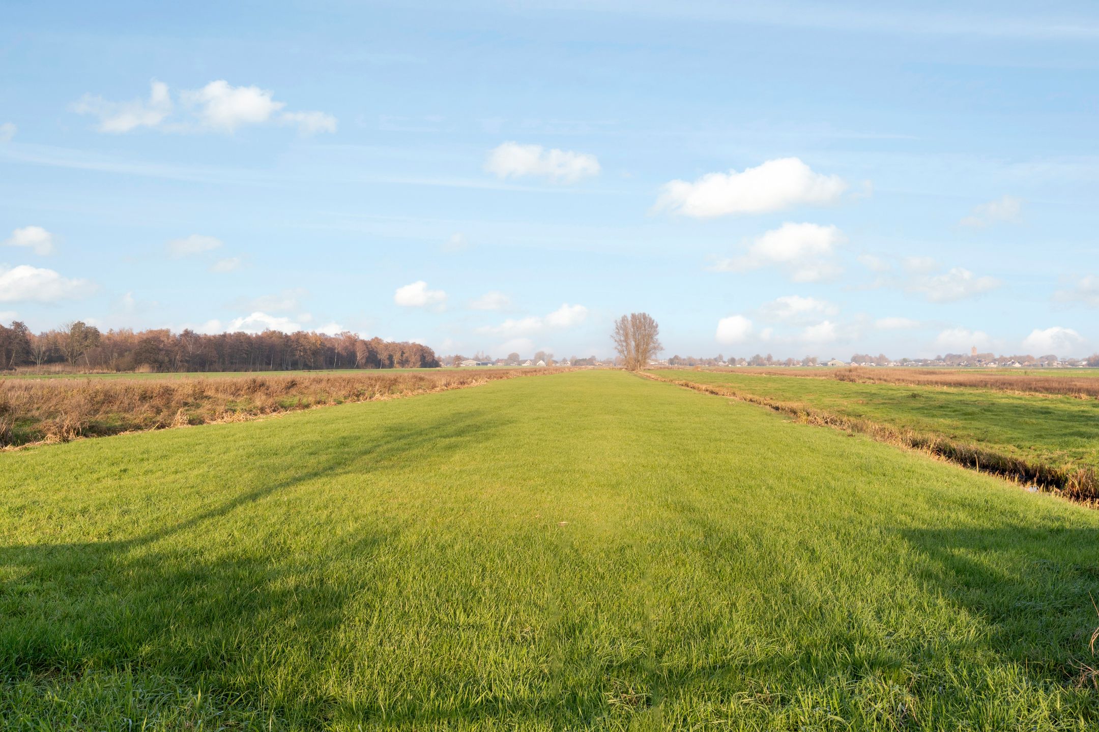 Photo 45 of Westbroekse Binnenweg 78