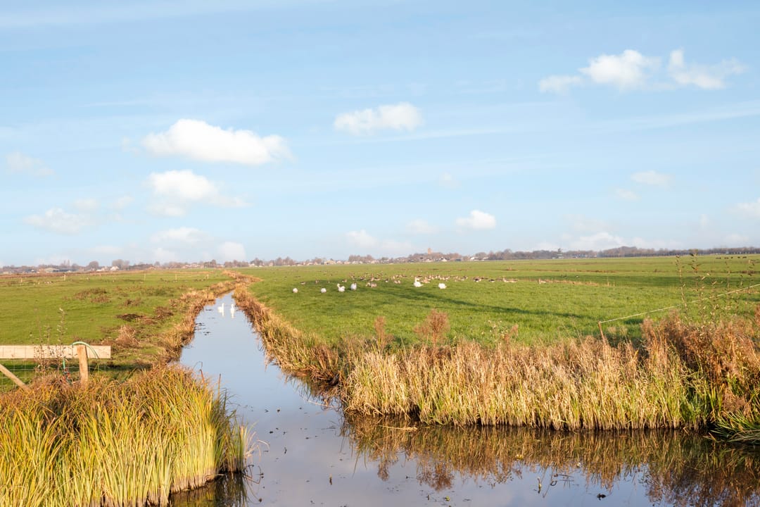 Photo 46 of Westbroekse Binnenweg 78