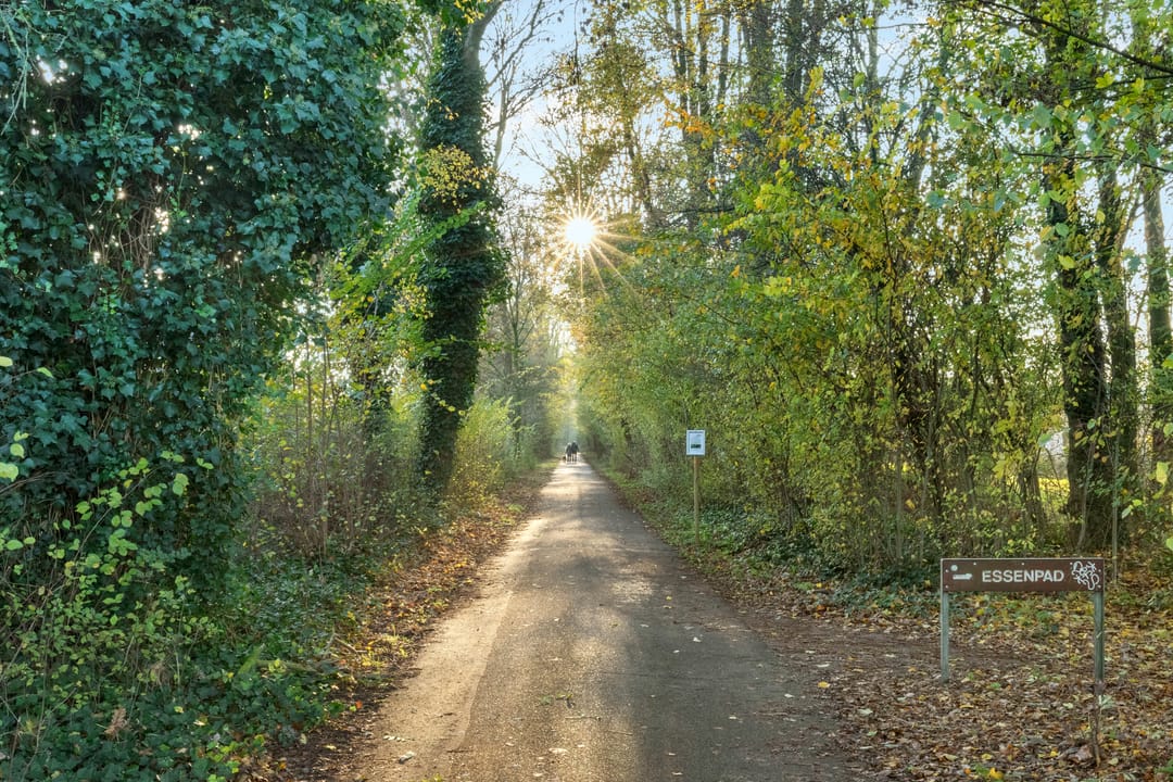 Photo 47 of Westbroekse Binnenweg 78