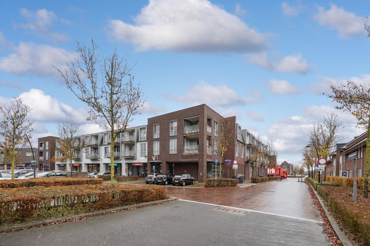 Foto 30 van Maximaplein 6