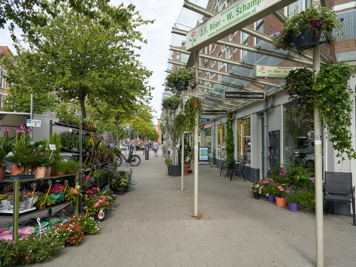 Foto 27 van Palestinastraat 52-D