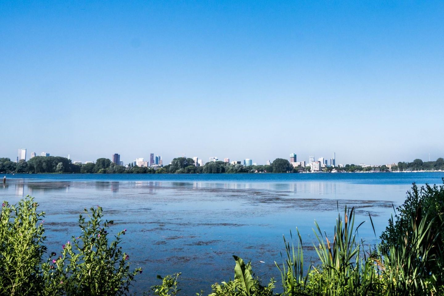 Foto 29 van Palestinastraat 52-D